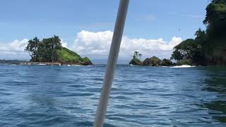 Isla Pájaros observa las aves en su hábitat en Isla Colon