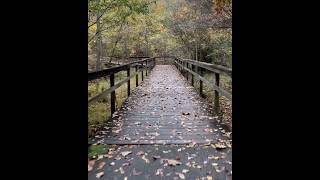 Fall cycling in North Carolina # fallleaves #cycling #adventuretravel