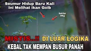 Mistis Di Luar Logika Ikan Penghuni Danau Di Tengah Hutan Kebal Tak Mempan Busur Panah