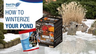 HOW TO WINTERIZE YOUR POND ❄️