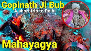 A Short Trip to DELHI | Jagatgaru Bhagwan Gopinath Ji Ashram | Gopinath Ji Bub Mahayagya | Bub Ji