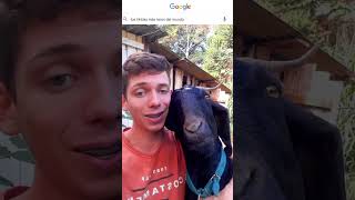 Los TIKTOKS más RAROS del Mundo #shorts #tiktok #youtubeshorts #viral