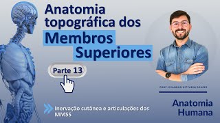 ANATOMIA TOPOGRÁFICA DOS MEMBROS SUPERIORES - PARTE 13 (FINAL) - INERVAÇÃO CUTÂNEA E ARTICULAÇÕES