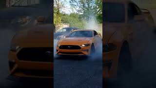 Brutal Mustang Burnout!