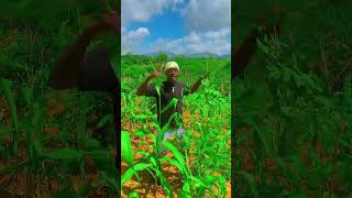 Dayoo- huu mwaka #davido #dance #bongoflava #stitch #diamomdplatnumz #bongomusic #viral #challenge