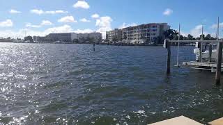 Dolphin Fin spotted during meditation.Treasure Island Fl.