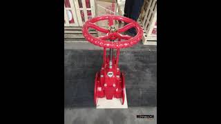 Mizztech Gate Valve