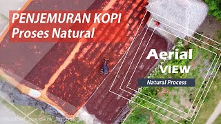 Penjemuran Kopi Proses Natural | Short Clip - Aerial View