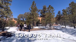 Hoodoo Trail | Red Canyon