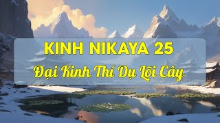 KINH NIKAYA 25 - Đại Kinh Thí Dụ Lõi Cây - TT Thích Chân Quang