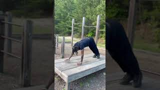 Walk down. Full body calisthenics