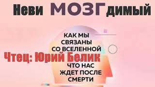 Карлос Л. Дельгадо - Невидимый мозг. Как мы связаны со Вселенной и что нас ждет после смерти