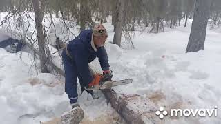 1 апреля! Возим Валежник!