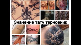 Значение тату терновник - информация и фото примеры рисунков для сайта tattoo-photo.ru