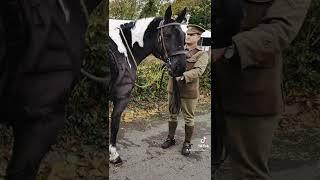 Armed Forced Day Tribute By The Horse Barber