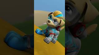 PAW Patrol : La Pat' Patrouille | Des chiots puissants contre un poulet GÉANT ! 🐔 #Shorts