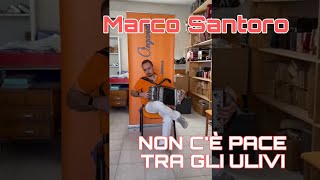 Marco Santoro - Non c'è pace tra gli ulivi