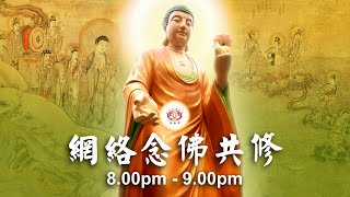 【同步】净土宗网络念佛【第1610天】+ 开示视频《技巧与心态》 14-08-2024 Online Recitation Session（晚上8pm-9pm (GMT+8))【打开CC字幕】