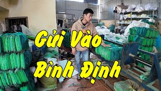 Video số 186 | Mẫu Bát Quái Đánh Sông Gửi Vào Bình Định || long bat quai a trung