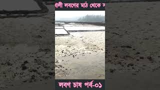 মহেশখালী লবণের মাঠ থেকে সরাসরি