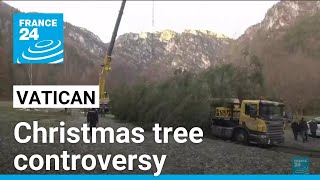 Pressure on Pope fails to stop felling of 100-year-old Christmas tree • FRANCE 24 English