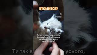 Хіба не так? #гумор #смішневідео