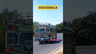 AUTOBUSES DE GUATEMALA #feedshorts #autobusesdeguatemala #suscribete