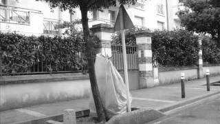 Christmas trees left in Paris