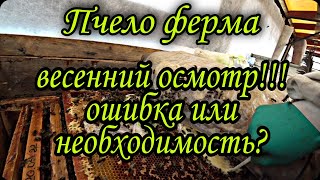 Пчело-ферма, ошибки начинающего пчеловода 🐝