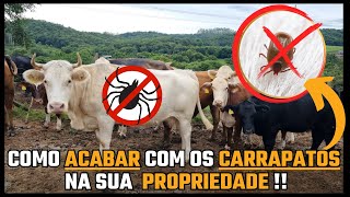 COMO ACABAR COM OS CARRAPATOS NA SUA PROPRIEDADE !!