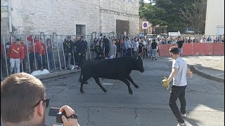 Encierro à Arles - Féria de Pâques 2022 - 18/04/2022