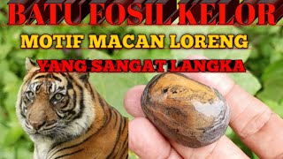 BATU FOSIL KELOR LANGKA MOTIF LORENG MACAN