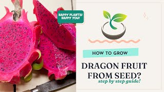 🍀🌸🌿 How to Grow Dragon Fruit from Seed? Step by Step Guide!