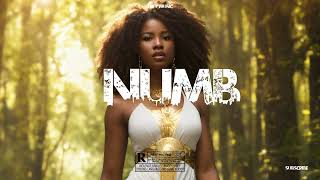 Afro Guitar x Afro Beat instrumental " NUMB "