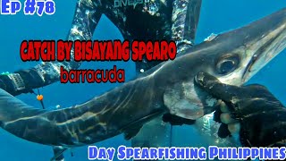 Ep #78 Catch by Bisayang Spearo | Day Spearfishing Philippines | Dalaguete Spearo Vlog