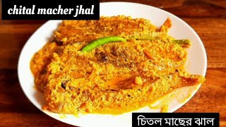 poila baisakh special recipe | chitol macher recipe | chital macher jhal | চিতল মাছের ঝাল