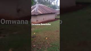 Omwana Bwentobo #kisii #kisiihottv #kisiicomedy #gusii #funny