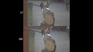 Panasonic Lumix G7 vs G80 Stabilization test + extras