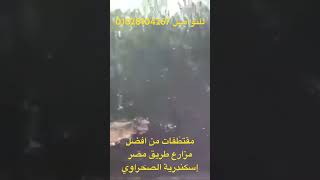 من افضل مزارع طريق مصر اسكندرية الصحراوي