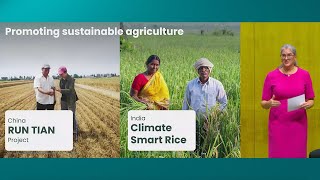 [Asia Sustainability Dialogue 2024] Chinese and Indian Agriculture: Two Approaches for One Goal