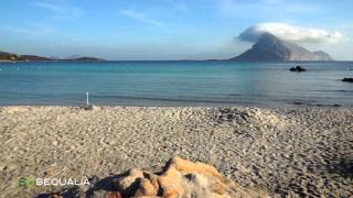 Sardegna Nord Est: Tavolara e Porto Taverna, Gallura