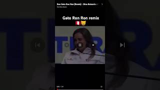 Gato  Ron Ron remix . creador tito Silva Música🇵🇪😸