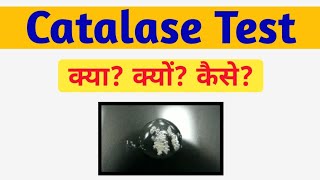 कैटालेज टेस्ट क्या है और क्यों किया जाता हैं? Catalase test simply explain in hindi