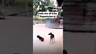 Aw!!🤣🤣🤣🤣 #funny #viralvideo #trending