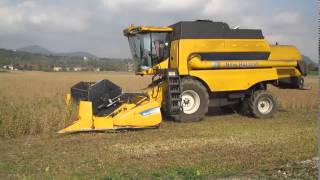 trebbiatura soia 2014 con New Holland CS6050