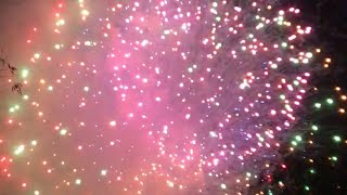 Happy July 4th | Fireworks Celebration| Almaden Park San Jose | Travelvlog #usa #cali #fireawareness