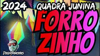 🪗🔥FORROZINHO ATUALIZADO 2024_ESQUENTA DA QUADRA JUNINA 2024🪗🔥 #forrozinho #amaisforrozeiradomeu