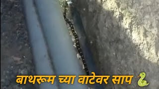 बाथरूम कडे जाताना दिसला साप 🐍 नशीब बॅटरी होती सोबत..