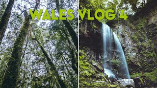 Welsh Forest Walk & hidden Melincwrt Waterfall