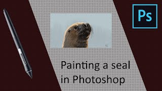 Painting a seal in Photoshop